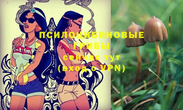 меф Семёнов